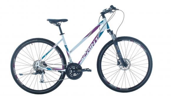 SPRINT SINTERO  PLUS LADY  28