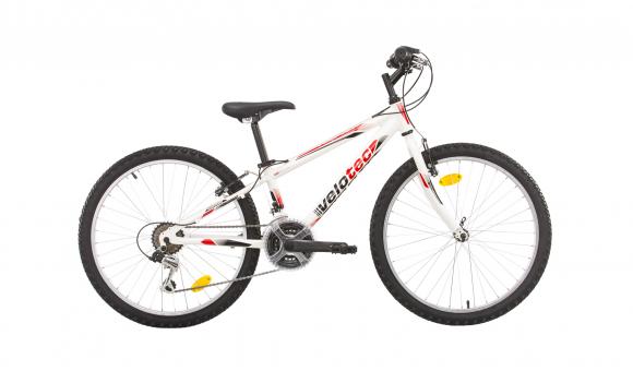 VELOTEC TEMPO V3 24 VELOTEC TEMPO V3 24